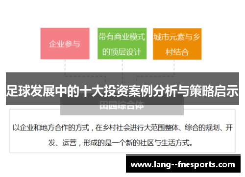 足球发展中的十大投资案例分析与策略启示