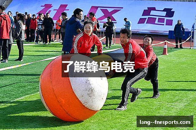 了解蜂鸟电竞